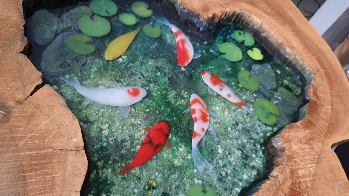 3D painted wooden fish table with resin crafts